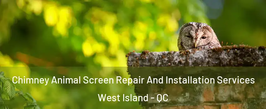  Chimney Animal Screen Repair And Installation Services West Island - QC
