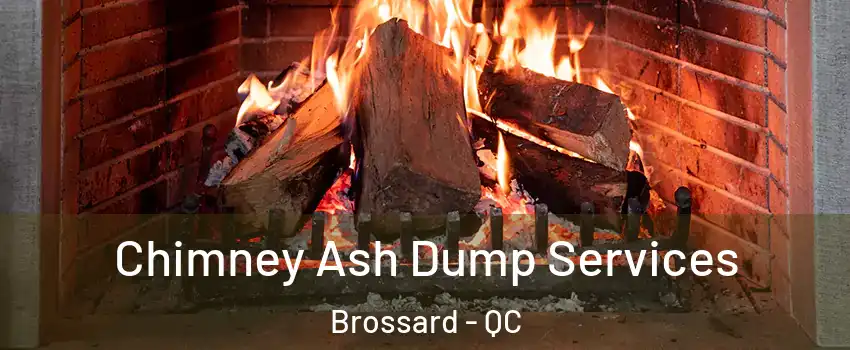  Chimney Ash Dump Services Brossard - QC