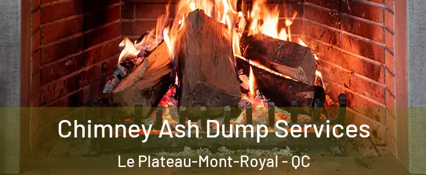  Chimney Ash Dump Services Le Plateau-Mont-Royal - QC