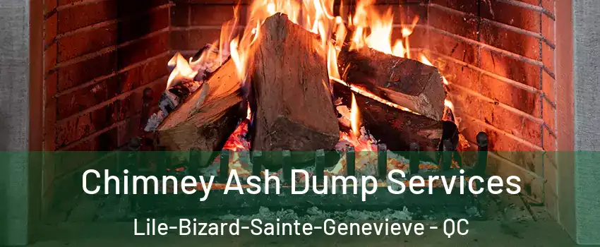  Chimney Ash Dump Services Lile-Bizard-Sainte-Genevieve - QC
