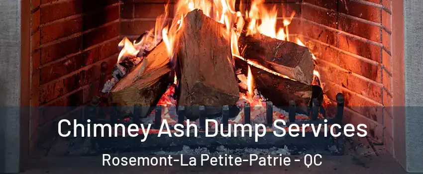  Chimney Ash Dump Services Rosemont-La Petite-Patrie - QC