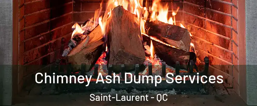  Chimney Ash Dump Services Saint-Laurent - QC