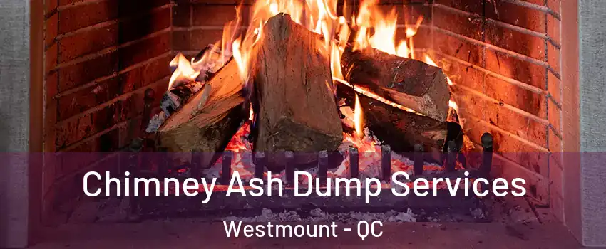  Chimney Ash Dump Services Westmount - QC