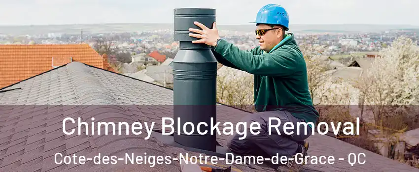  Chimney Blockage Removal Cote-des-Neiges-Notre-Dame-de-Grace - QC