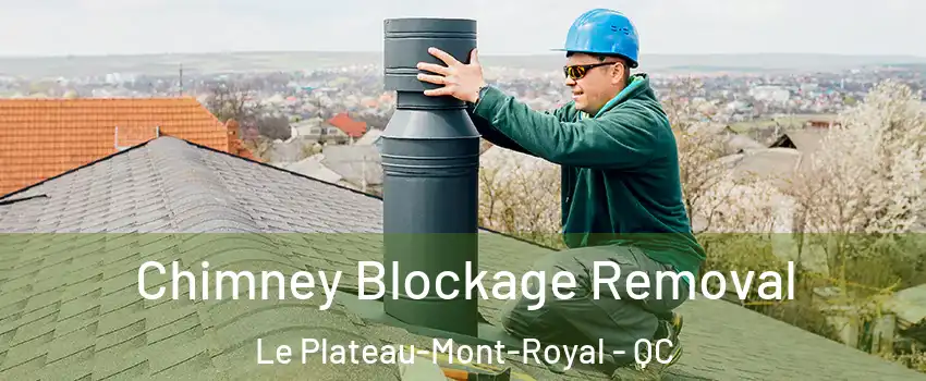  Chimney Blockage Removal Le Plateau-Mont-Royal - QC