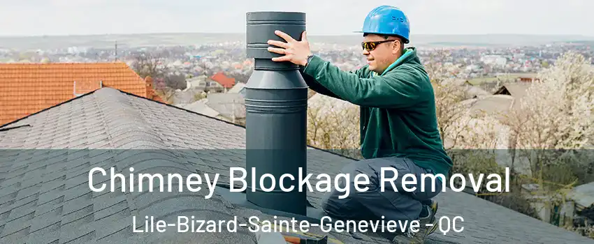  Chimney Blockage Removal Lile-Bizard-Sainte-Genevieve - QC