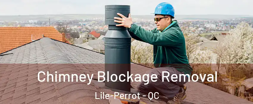  Chimney Blockage Removal Lile-Perrot - QC