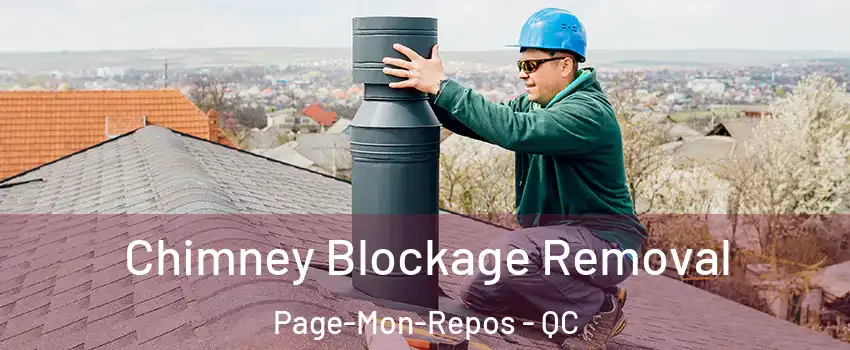  Chimney Blockage Removal Page-Mon-Repos - QC