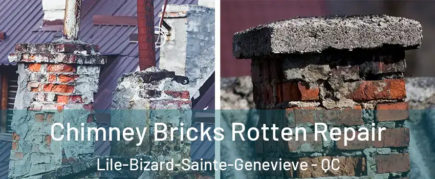  Chimney Bricks Rotten Repair Lile-Bizard-Sainte-Genevieve - QC