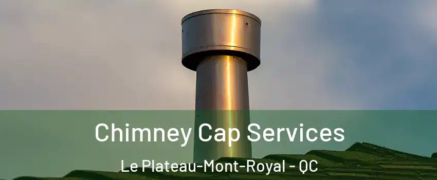  Chimney Cap Services Le Plateau-Mont-Royal - QC
