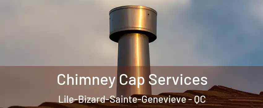  Chimney Cap Services Lile-Bizard-Sainte-Genevieve - QC