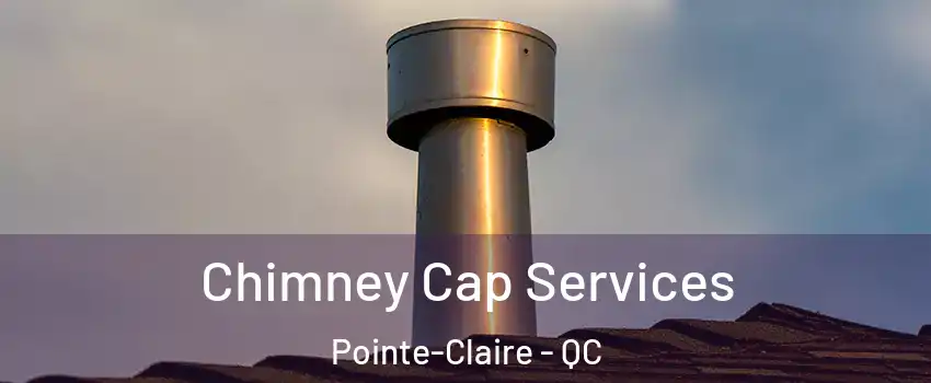  Chimney Cap Services Pointe-Claire - QC