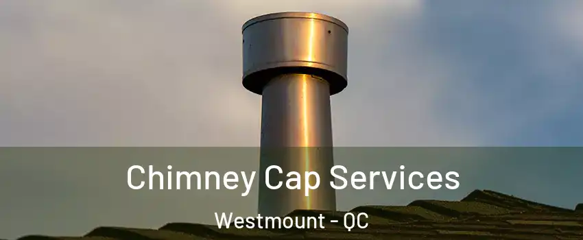  Chimney Cap Services Westmount - QC
