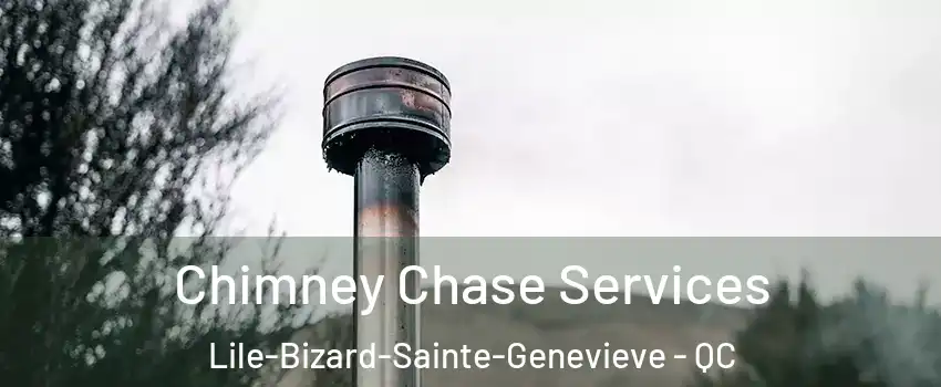  Chimney Chase Services Lile-Bizard-Sainte-Genevieve - QC