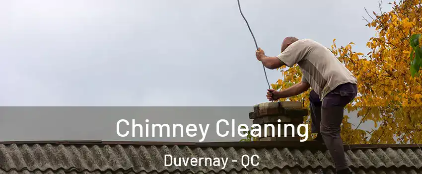  Chimney Cleaning Duvernay - QC