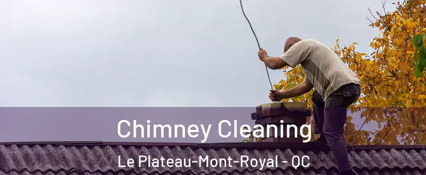  Chimney Cleaning Le Plateau-Mont-Royal - QC
