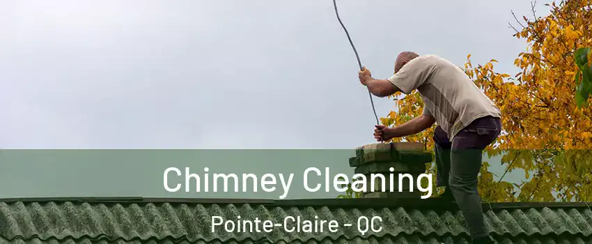  Chimney Cleaning Pointe-Claire - QC