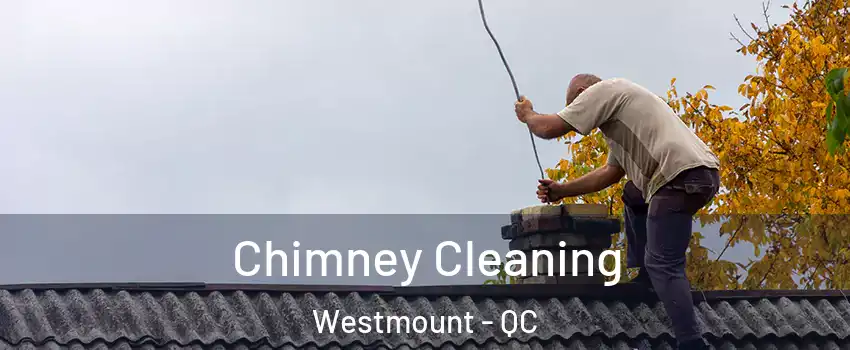  Chimney Cleaning Westmount - QC