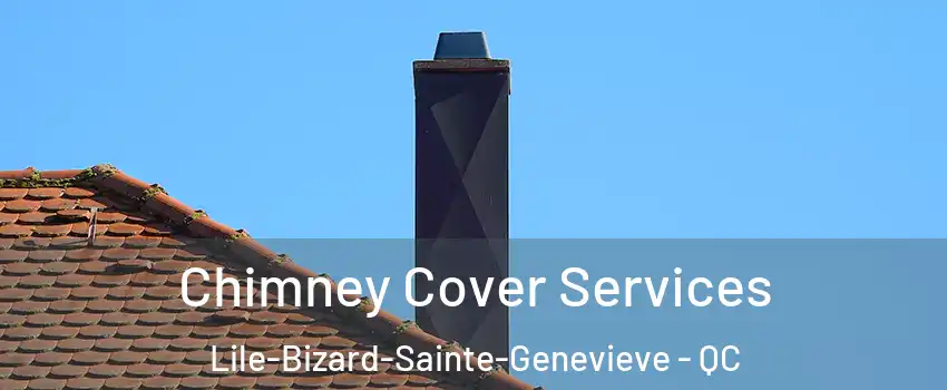  Chimney Cover Services Lile-Bizard-Sainte-Genevieve - QC