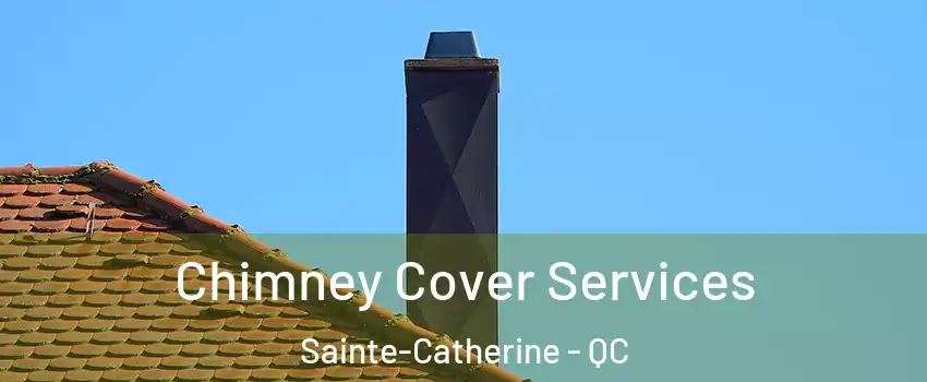 Chimney Cover Services Sainte-Catherine - QC