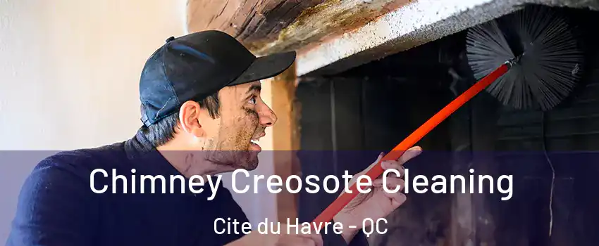  Chimney Creosote Cleaning Cite du Havre - QC