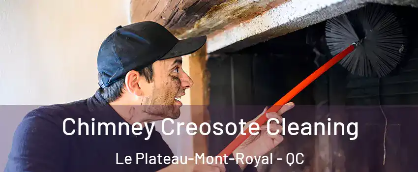  Chimney Creosote Cleaning Le Plateau-Mont-Royal - QC