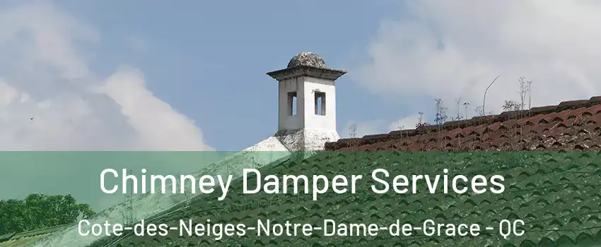  Chimney Damper Services Cote-des-Neiges-Notre-Dame-de-Grace - QC