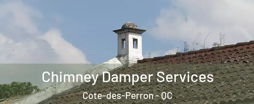  Chimney Damper Services Cote-des-Perron - QC