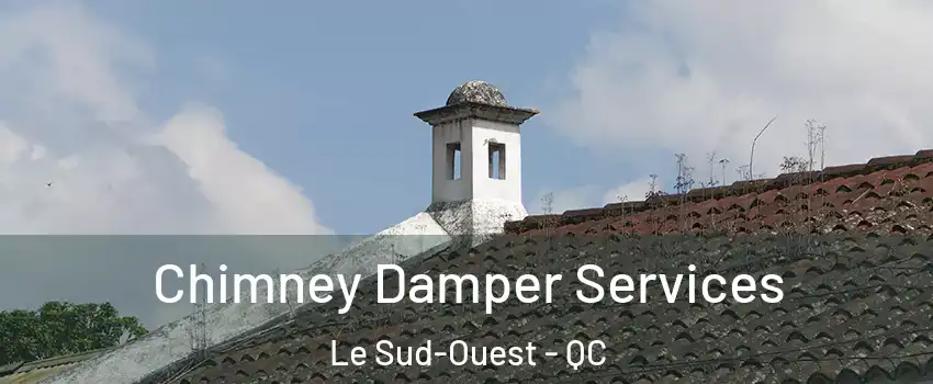  Chimney Damper Services Le Sud-Ouest - QC