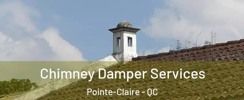  Chimney Damper Services Pointe-Claire - QC