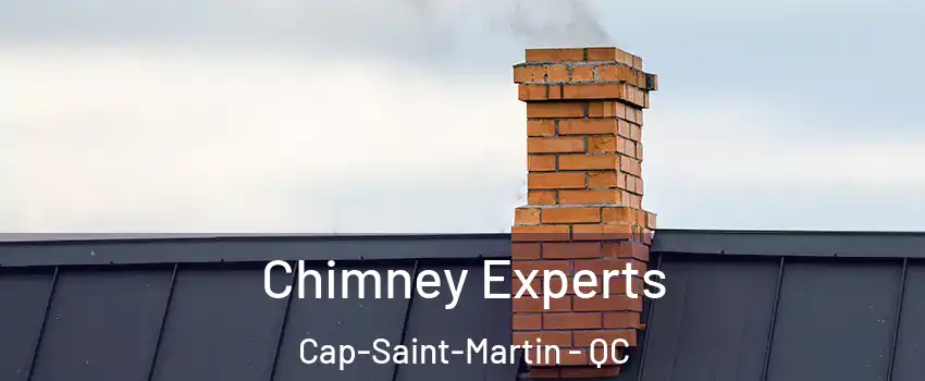 Chimney Experts Cap-Saint-Martin - QC