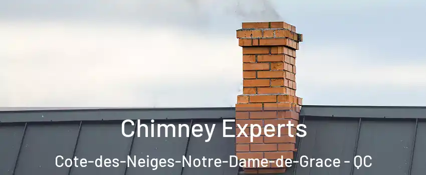 Chimney Experts Cote-des-Neiges-Notre-Dame-de-Grace - QC