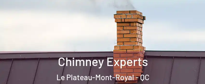 Chimney Experts Le Plateau-Mont-Royal - QC