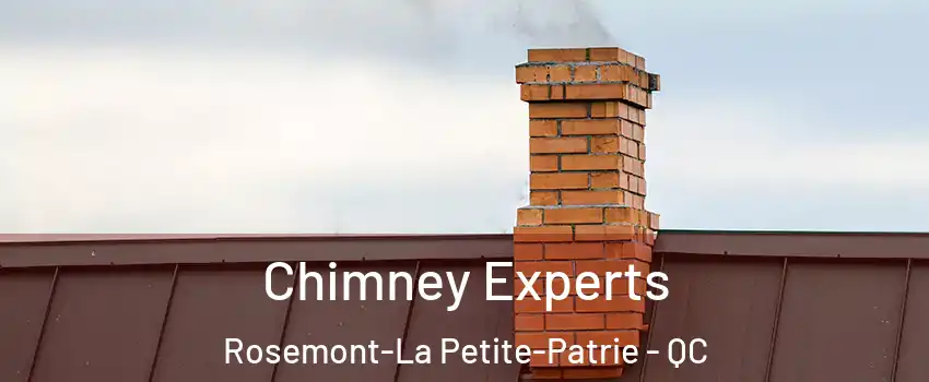 Chimney Experts Rosemont-La Petite-Patrie - QC
