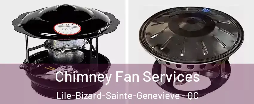  Chimney Fan Services Lile-Bizard-Sainte-Genevieve - QC