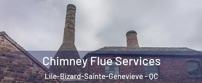  Chimney Flue Services Lile-Bizard-Sainte-Genevieve - QC