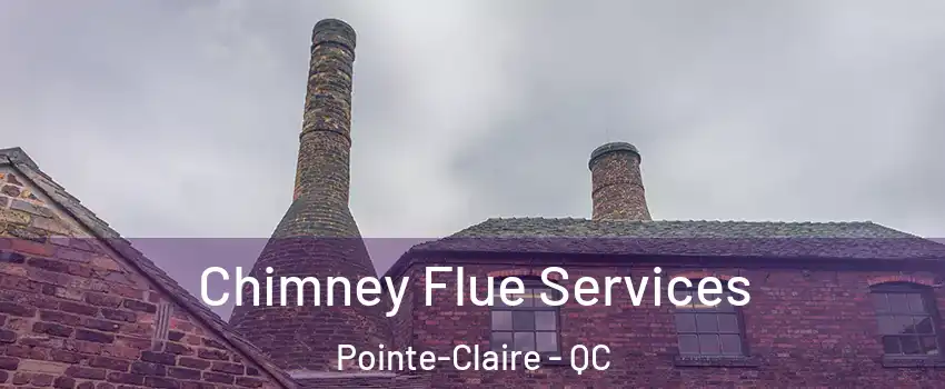  Chimney Flue Services Pointe-Claire - QC