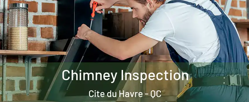  Chimney Inspection Cite du Havre - QC