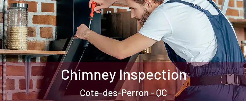  Chimney Inspection Cote-des-Perron - QC