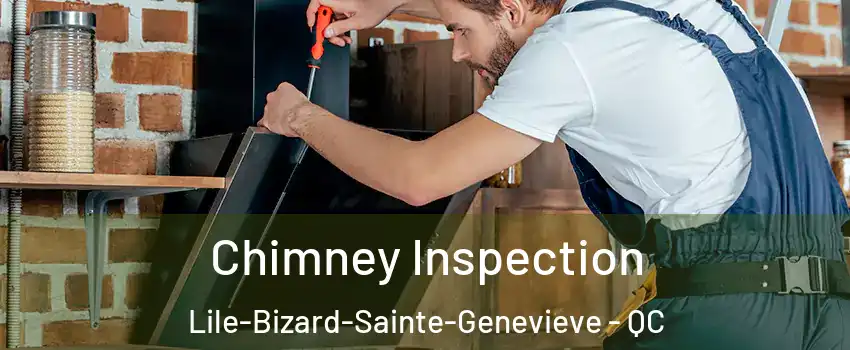 Chimney Inspection Lile-Bizard-Sainte-Genevieve - QC