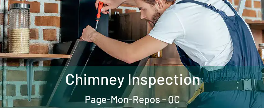  Chimney Inspection Page-Mon-Repos - QC