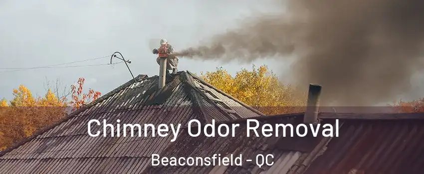  Chimney Odor Removal Beaconsfield - QC