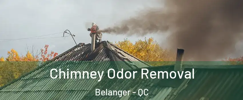  Chimney Odor Removal Belanger - QC