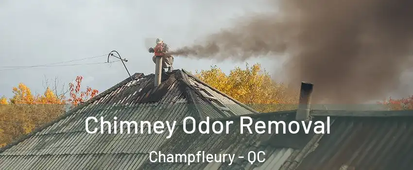  Chimney Odor Removal Champfleury - QC