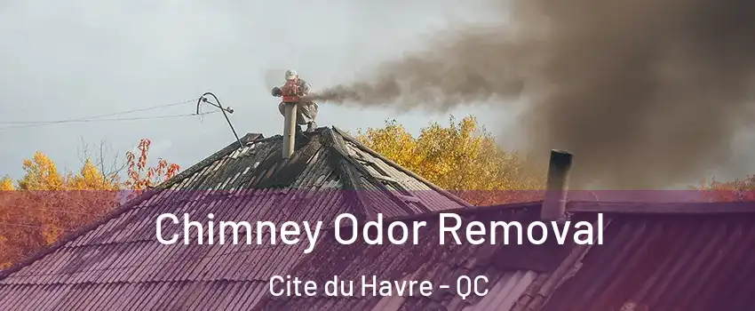  Chimney Odor Removal Cite du Havre - QC