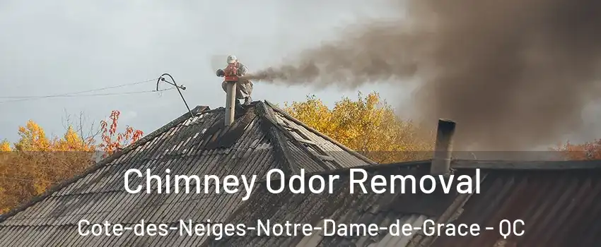  Chimney Odor Removal Cote-des-Neiges-Notre-Dame-de-Grace - QC