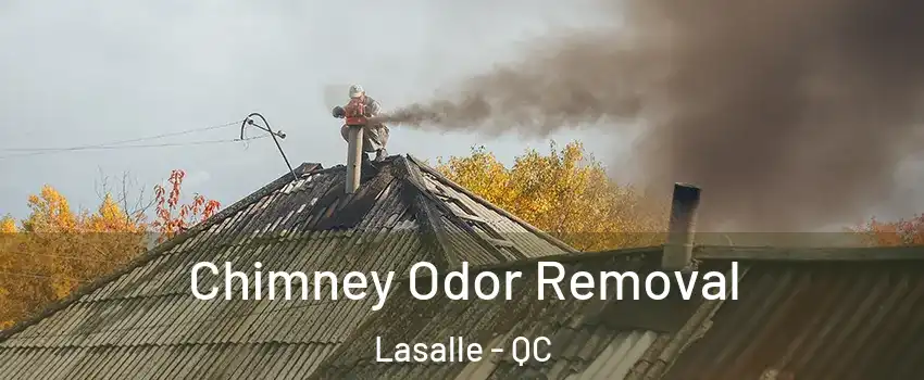  Chimney Odor Removal Lasalle - QC