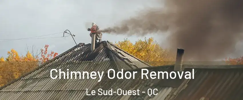  Chimney Odor Removal Le Sud-Ouest - QC
