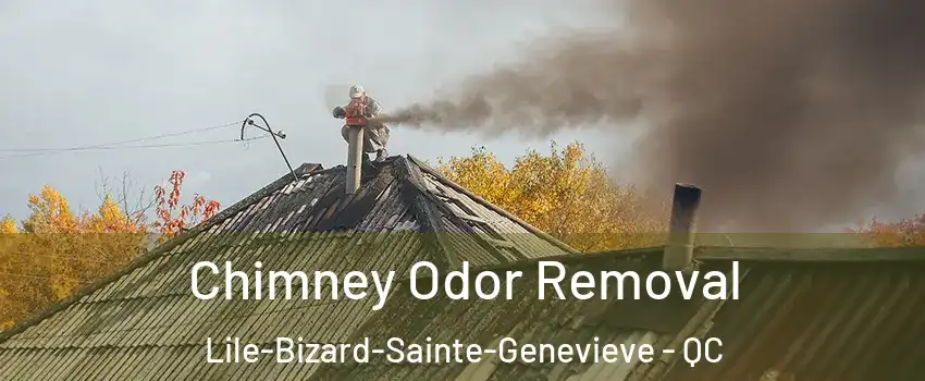  Chimney Odor Removal Lile-Bizard-Sainte-Genevieve - QC