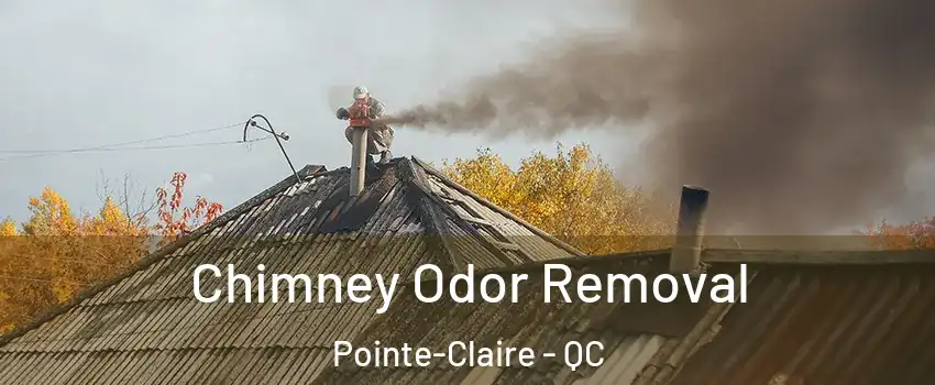  Chimney Odor Removal Pointe-Claire - QC